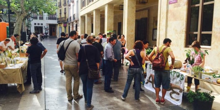 Feria de semillas 2014