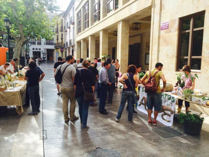 Feria de semillas 2014