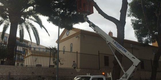 El informe solicitado por la Concejalía de Medio Ambiente a Cota Ambiental, tras los derrumbes de finales de septiembre, aconsejaba aligerar el peso de los árboles. Las concejalías de Medio Ambiente y Servicios han procedido a la poda de las ramas de los pinos colindantes con la Residencia de Ancianos para evitar más caídas, como sucedió a finales de septiembre, y velar por la seguridad de los residentes del Asilo, los viandantes y los vehículos que transitan por la Avenida de Orihuela. Según indica el concejal de Medio Ambiente, Chema García Payá, “tras las caídas, solicité un informe a Cota Ambiental, la empresa consultora que trabaja para el Ayuntamiento y, una vez estudiada la situación de los pinos, nos aconsejaron la poda de las ramas para aligerar el peso y evitar nuevas caídas“. El edil de Izquierda unida explica que “son ejemplares de pino carrasco con una altura de entre 9 y 10 metros. Los árboles se encuentran en buena situación fitosanitaria y con un crecimiento normal. Uno de ellos presenta daños en el tronco por desgarro de una de sus ramas principales, lo que causó leves daños en el muro del Asilo. Hay descompensaciones en las copas de los árboles motivadas, probablemente, por la ausencia de podas de formación y/o mantenimiento o por podas incorrectas, lo que ha provocado un desequilibrio de peso que, al cabo de los años, ha provocado quiebras y desgarros de ramas. Ante este riesgo y con el informe de Cota Ambiental se ha decidido realizar una poda por seguridad y evitar más derrumbes“.oda pinos Asilo El informe solicitado por la Concejalía de Medio Ambiente a Cota Ambiental, tras los derrumbes de finales de septiembre, aconsejaba aligerar el peso de los árboles. Las concejalías de Medio Ambiente y Servicios han procedido a la poda de las ramas de los pinos colindantes con la Residencia de Ancianos para evitar más caídas, como sucedió a finales de septiembre, y velar por la seguridad de los residentes del Asilo, los viandantes y los vehículos que transitan por la Avenida de Orihuela. Según indica el concejal de Medio Ambiente, Chema García Payá, “tras las caídas, solicité un informe a Cota Ambiental, la empresa consultora que trabaja para el Ayuntamiento y, una vez estudiada la situación de los pinos, nos aconsejaron la poda de las ramas para aligerar el peso y evitar nuevas caídas“. El edil de Izquierda unida explica que “son ejemplares de pino carrasco con una altura de entre 9 y 10 metros. Los árboles se encuentran en buena situación fitosanitaria y con un crecimiento normal. Uno de ellos presenta daños en el tronco por desgarro de una de sus ramas principales, lo que causó leves daños en el muro del Asilo. Hay descompensaciones en las copas de los árboles motivadas, probablemente, por la ausencia de podas de formación y/o mantenimiento o por podas incorrectas, lo que ha provocado un desequilibrio de peso que, al cabo de los años, ha provocado quiebras y desgarros de ramas. Ante este riesgo y con el informe de Cota Ambiental se ha decidido realizar una poda por seguridad y evitar más derrumbes“.oda pinos Asilo