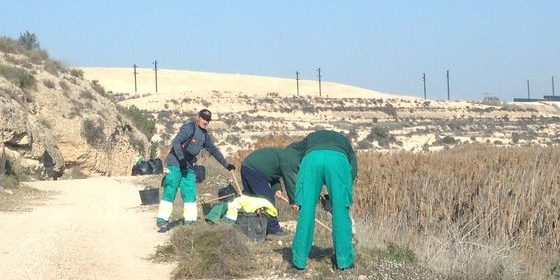 Operarios realizando la limpieza Operarios realizando la limpieza