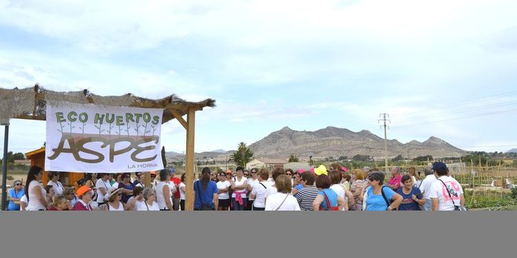 MEDIO AMBIENTE MEDIO AMBIENTE