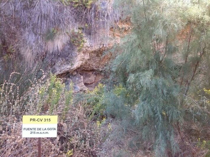 FOTO FUENTE DE LA GOTA