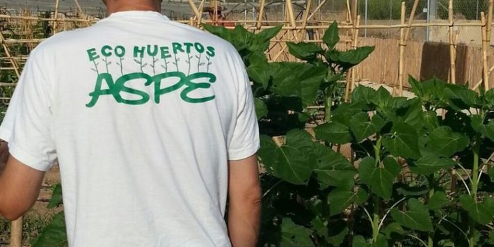 FOTO HUERTOS 2