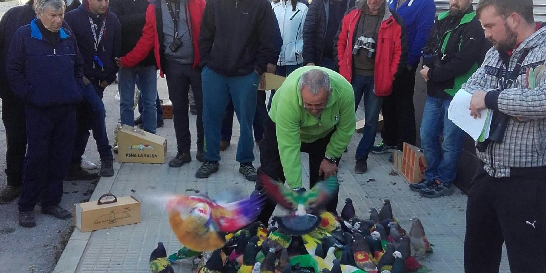 2018-04-04 NP. MEMORIAL COLOMBICULTURA LUIS CALATAYUD