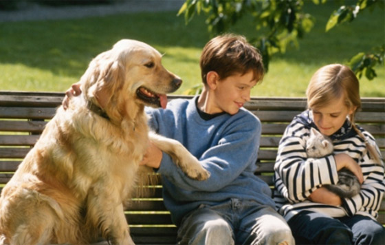 Mascotas-benefician-salud-física-y-emocional-de-sus-dueños