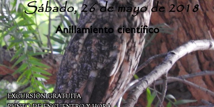 poster 26 de mayo 2018 jpg