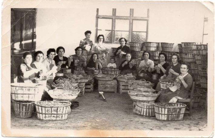 FOTOS MUJERES UVA 2