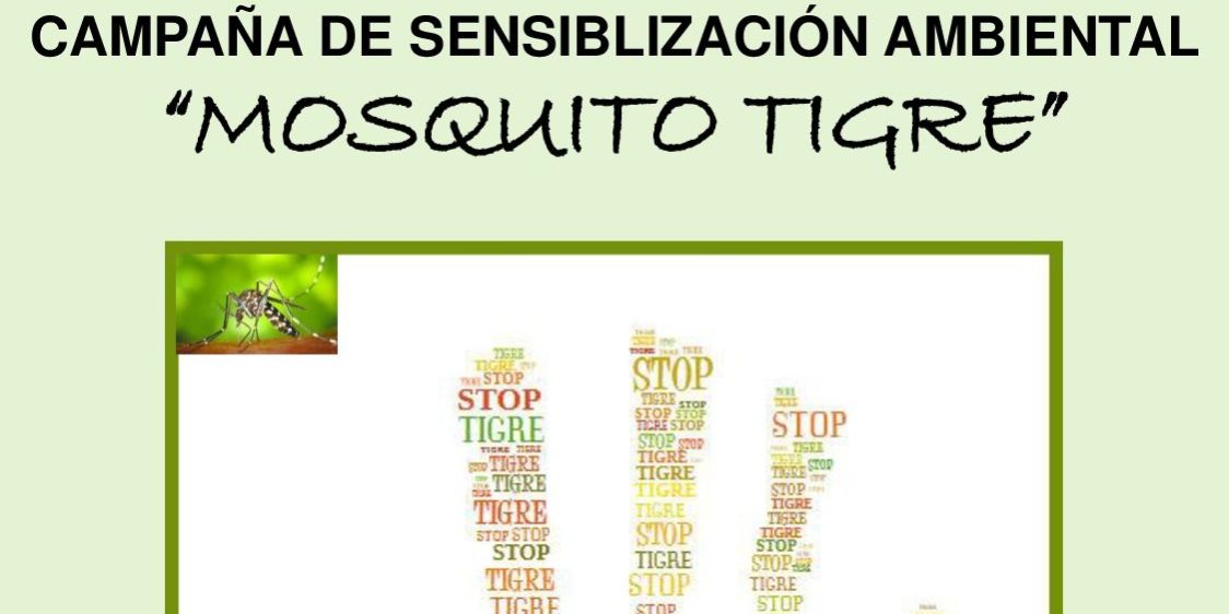 IMAGEN MOSQUITO TIGRE-001