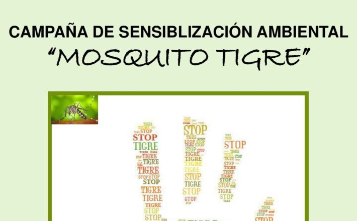 IMAGEN MOSQUITO TIGRE-001