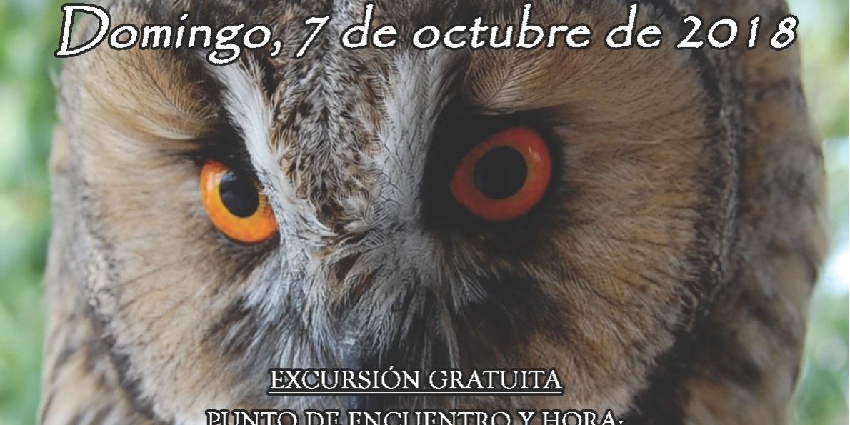 2018-10-03 NP DÍA MUNDIAL DE LAS AVES