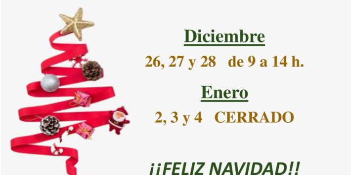 HORARIO DE NAVIDAD