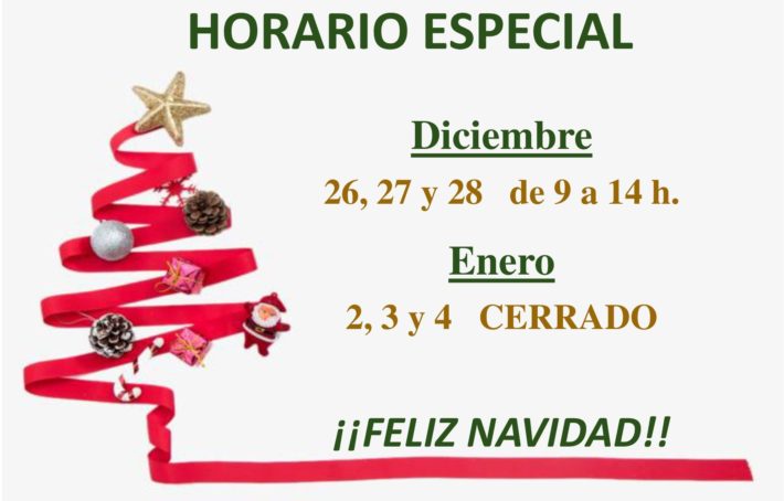 HORARIO DE NAVIDAD