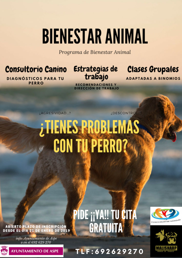 Bien Estar Animal Ayuntamiento