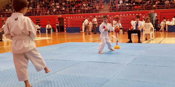 2019-05-08 NP. TROFEO PRIMAVERA DE KARATE EN ASPE