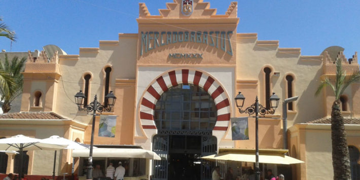 Aspe-mercado-insecto