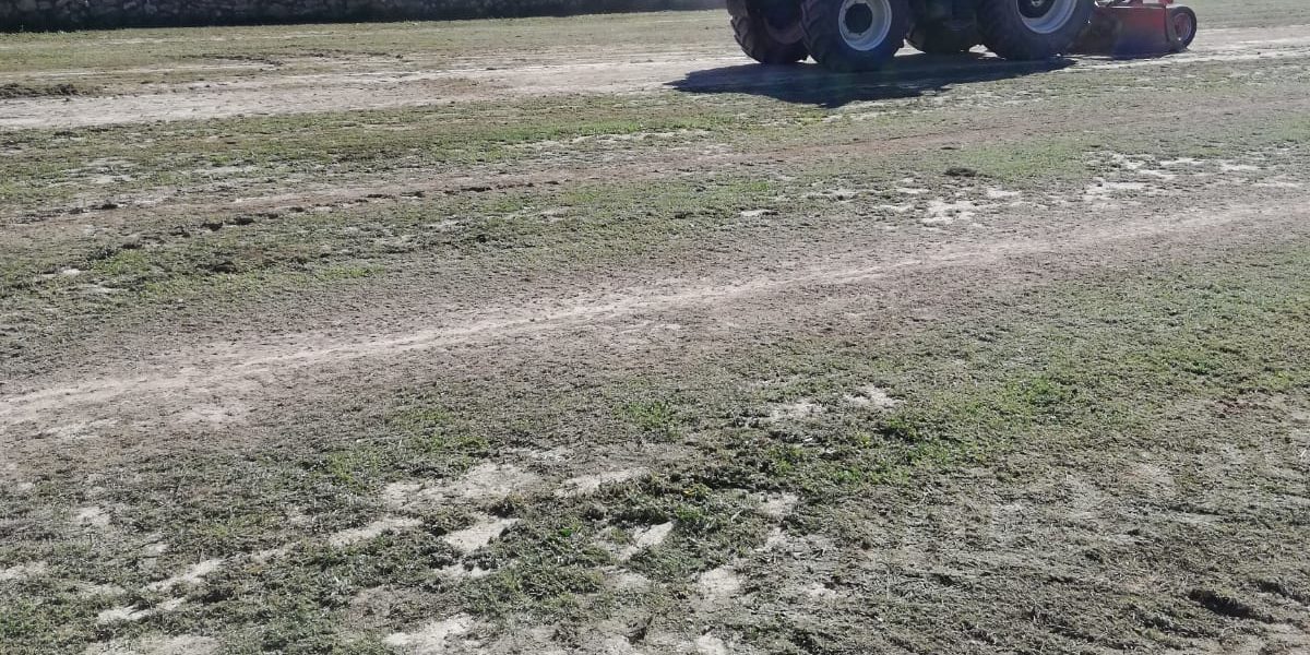 LIMPIEZA DE SOLARES2