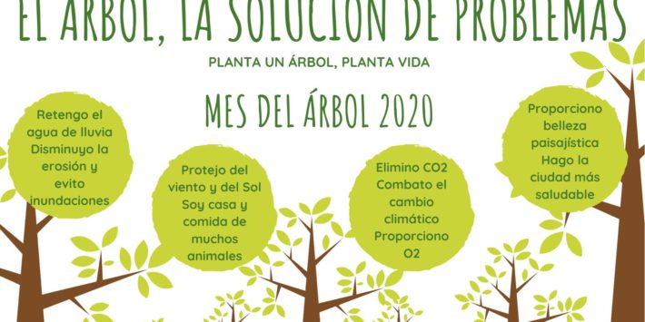 REFORESTACIÓN 3 CARTEL