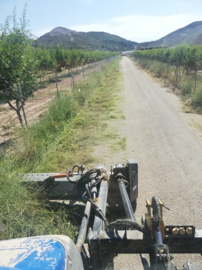 DESBROCE DE CAMINOS1