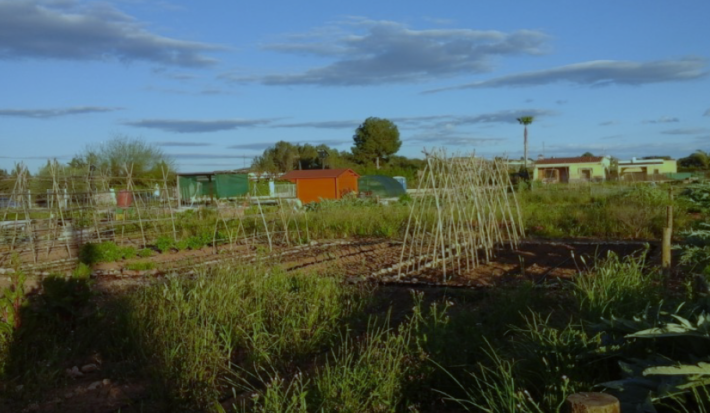 FOTO NOTA-HUERTOS ECOLOGICOS