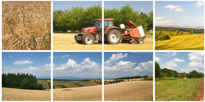 FOTO COMUNICADO83-1-OFICINA-AGRÍCOLA