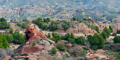 FOTO NOTA-146-los-Algezares-Aspe-1