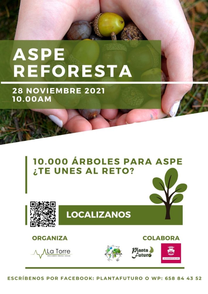 FOTO NOTA-270-1