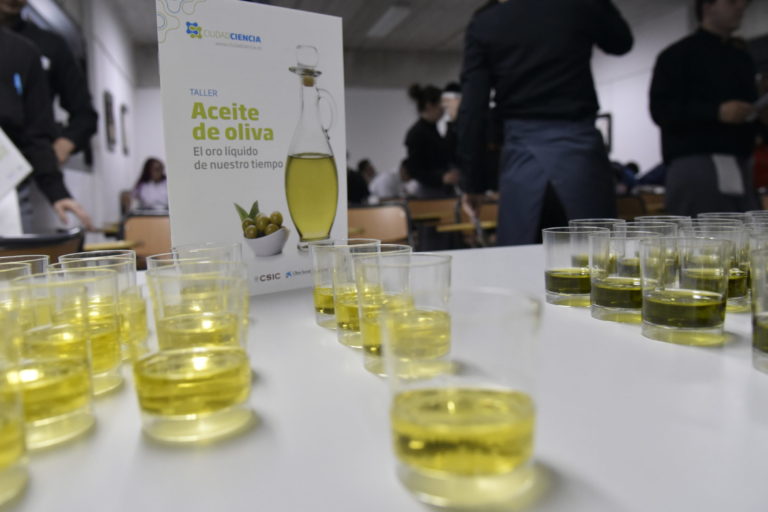 FOTO NOTA-274-3-_CSI5619