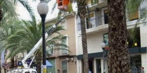 FOTO NOTA PODA JARDINES