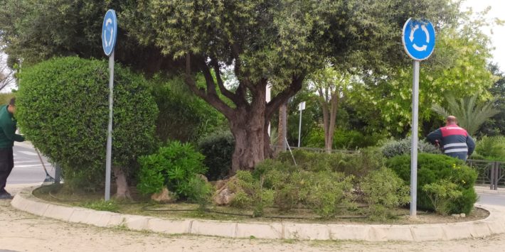 91.- El Ayuntamiento de Aspe planta más de 50 árboles (4)