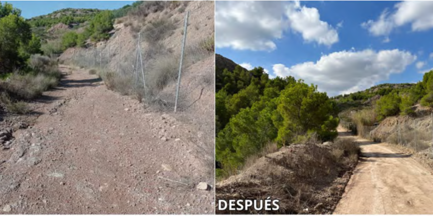 Mejora pista forestal Cinco Ojos 2023