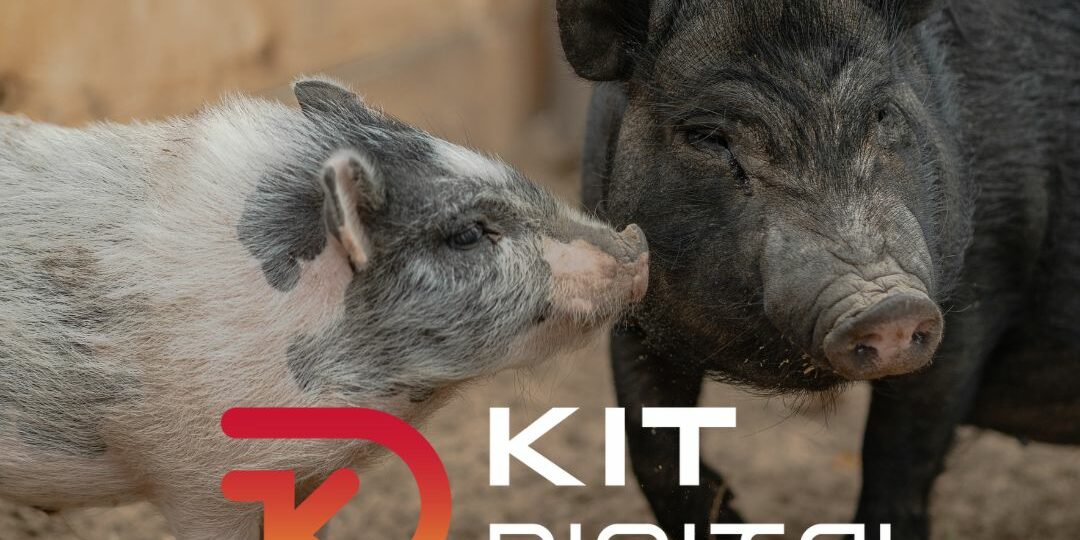 Post redes y web (16)