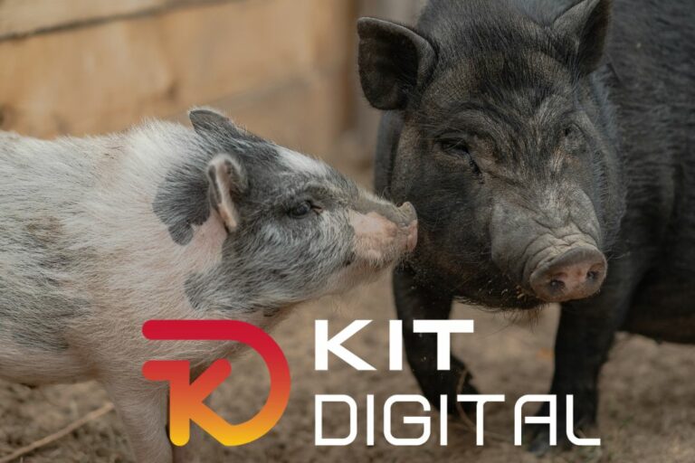 Post redes y web (16)