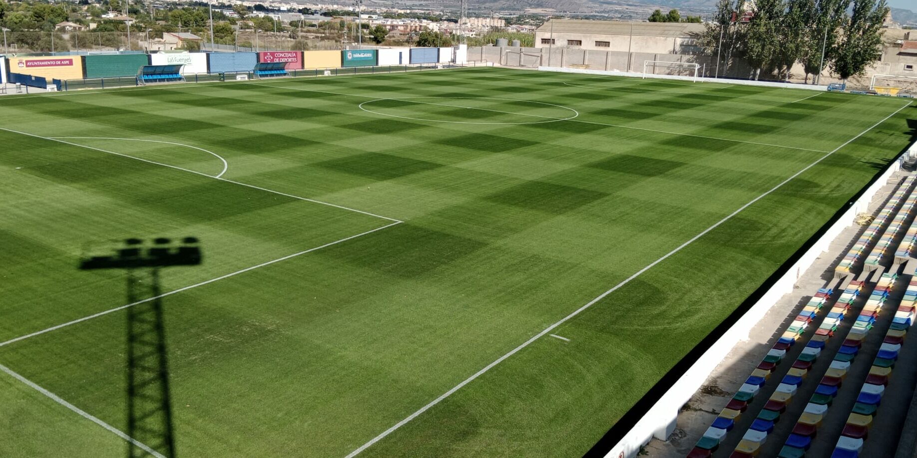 Siembra cesped natural