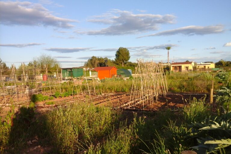 foto huerto ecológico