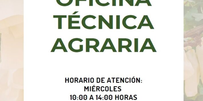 Captura de pantalla 2025-02-04 093959