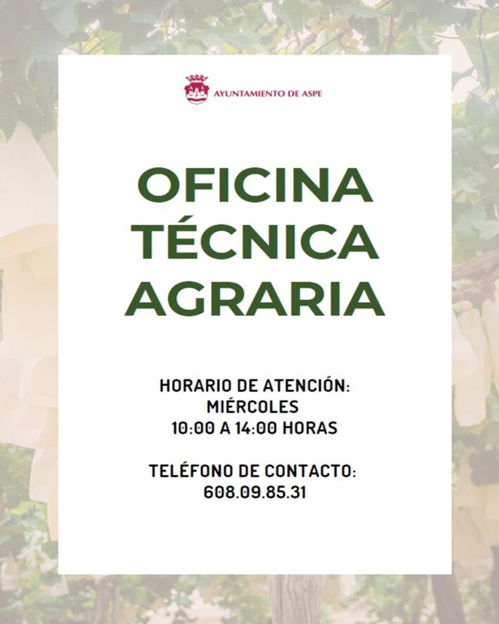 Captura de pantalla 2025-02-04 093959