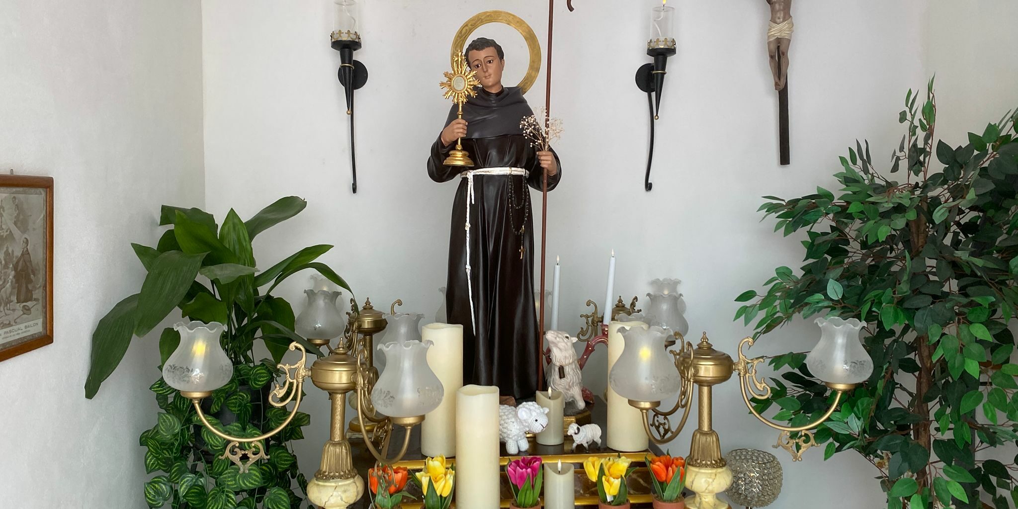 Foto San Pascual (2)