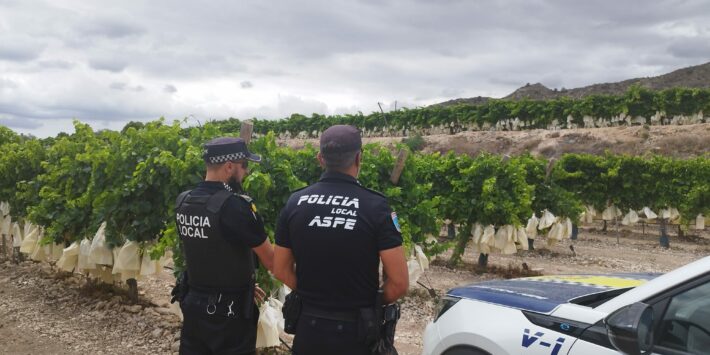 vigilancia uva de mesa (1)