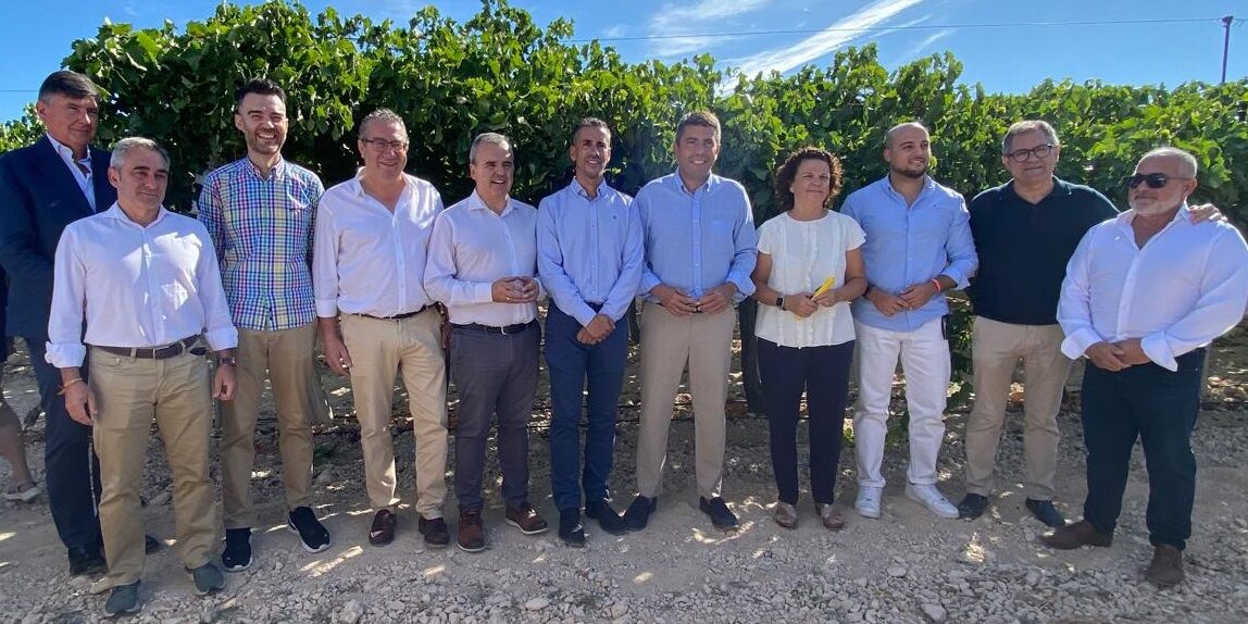 WhatsApp Image 2025-09-04 at 11.31.42 (2)