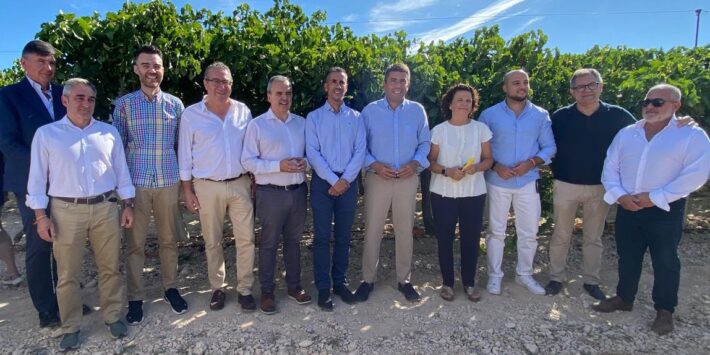 WhatsApp Image 2025-09-04 at 11.31.42 (2)