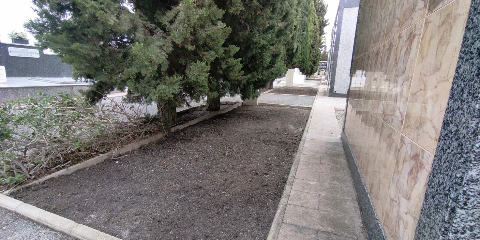 WhatsApp Image 2025-10-07 at 11.27.58