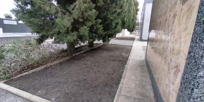 WhatsApp Image 2025-10-07 at 11.27.58