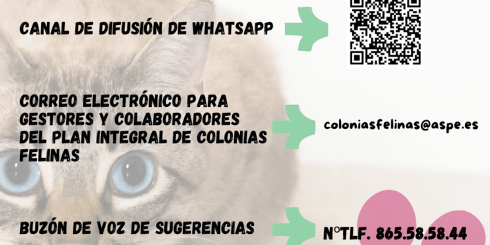 carteles colonias felinas