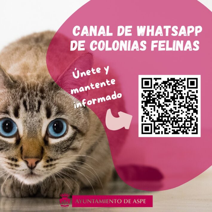 carteles colonias felinas