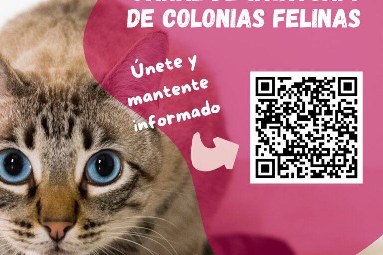 carteles colonias felinas
