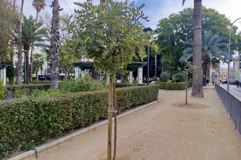 mejora en parques (3)