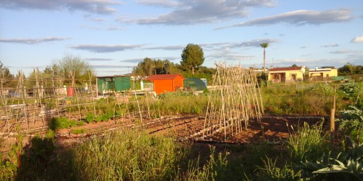 foto huerto ecológico