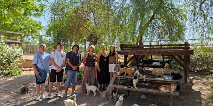 Visita colonias felinas